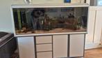 Akvastabil aquarium 150 x 55 x 60 compleet €250, Dieren en Toebehoren, Ophalen, Gebruikt, Gevuld zoetwateraquarium