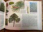 Bomen en Struiken - Reader's Digest Natuurgids, Boeken, Ophalen of Verzenden, Zo goed als nieuw, Bloemen, Planten en Bomen