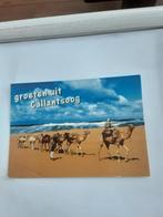GROETEN UIT  CALLANTSOOG, Ophalen of Verzenden, Sterren en Beroemdheden