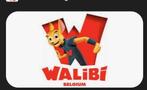 Walibi belgium, Tickets en Kaartjes, Eén persoon