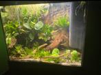 Aquatlantis aquarium (leeg), Ophalen, Zo goed als nieuw, Leeg aquarium