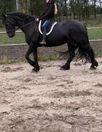 bijrijder aangeboden omgeving geldermalsen, Ophalen, Nieuw