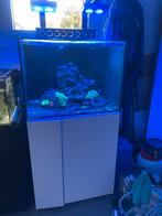 Aqua Medic Armatus 250 white compleet zeeaquarium, Dieren en Toebehoren, Vissen | Aquaria en Toebehoren, Ophalen, Zo goed als nieuw