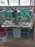Aquarium   terrarium, Dieren en Toebehoren, Ophalen of Verzenden