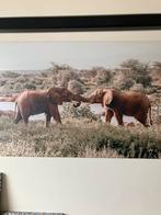 Foto op aluminium, Ophalen, Metaal of Aluminium