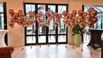 Perfecte trossen heliumballonnen maken inclusief materiaal, Hobby en Vrije tijd, Ophalen, Nieuw, Versiering, Overige