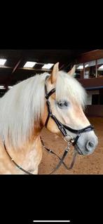 Torsy Bridle anatomisch hoofdstel cob (nieuw!), Dieren en Toebehoren, Paarden en Pony's | Hoofdstellen en Tuigage, Nieuw, Ophalen of Verzenden