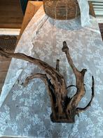 Mooi groot stuk aquarium hout, Ophalen of Verzenden, Zo goed als nieuw, Plant(en), Steen of Hout