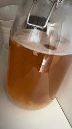 Waterkefirkorrels om onbeperkt waterkefir te maken!, Diversen, Ophalen