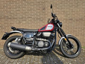 Yamaha SCR 950 abs (bj 2021) beschikbaar voor biedingen