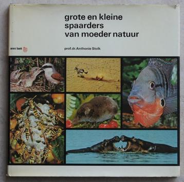 Grote en kleine spaarders van moeder natuur beschikbaar voor biedingen