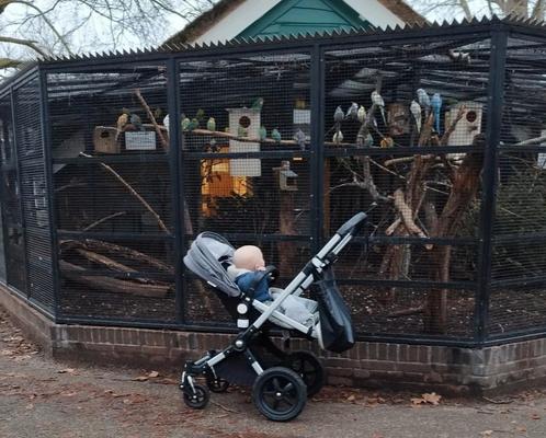 Mooie Bugaboo cameleon, Kinderen en Baby's, Kinderwagens en Combinaties, Zo goed als nieuw, Bugaboo, Ophalen