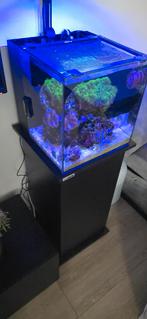 Zeeaquarium waterbox 10, Ophalen, Zo goed als nieuw