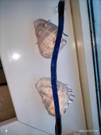 Frontriem full, Ophalen of Verzenden, Dressuur