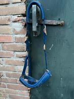 Halster Eskadron, Dieren en Toebehoren, Paarden en Pony's | Hoofdstellen en Tuigage, Ophalen of Verzenden, Zo goed als nieuw, Overige soorten