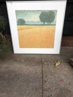 Zeefdruk Hans Dolieslager, Ophalen of Verzenden