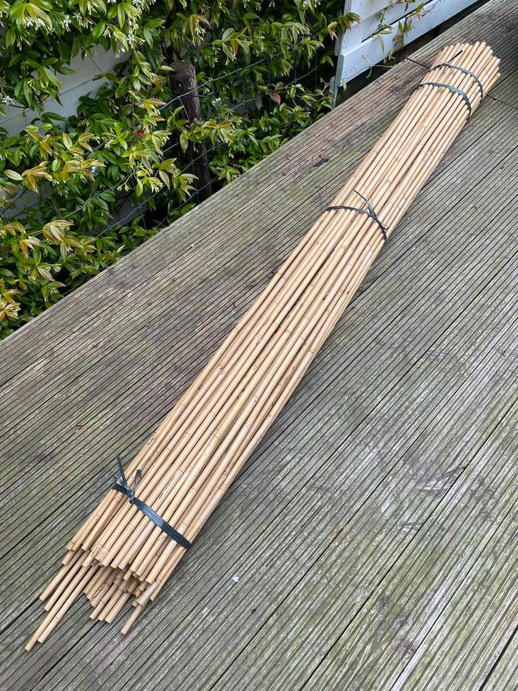 Bamboestokken nieuw 240cm extra lang en dik, Tuin en Terras, Palen, Balken en Planken, Nieuw, Palen, 180 tot 250 cm, Ophalen