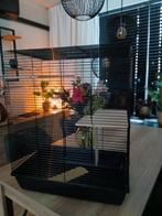Zeer nette kooi geschikt voor 2 ratjes, Dieren en Toebehoren, Knaagdieren, Januari, Meerdere dieren, Rat