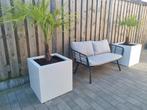 Stalen plantenbak diverse afm. Vanaf 75 euro, Ophalen, Zo goed als nieuw, Metaal, Tuin