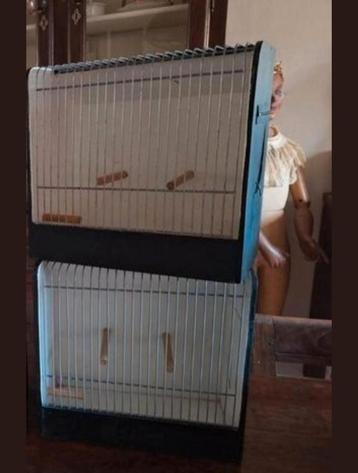 Vogelkooien/Kooien/Kooi/Vervoerskooi beschikbaar voor biedingen