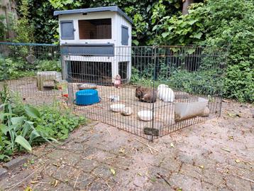 Ren voor konijnen, cavia's of andere kleine dieren beschikbaar voor biedingen