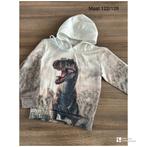 Dino Hoodie Maat 122/128, Ophalen of Verzenden, Gebruikt, Jongen, Trui of Vest