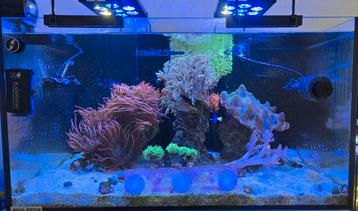 Aquamedic Armatus 375 XD complete beschikbaar voor biedingen
