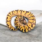 Super pastel od enchi yellowbelly ballpython vrouw, Dieren en Toebehoren, Slang, Tam