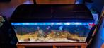 1 meter aquarium, Dieren en Toebehoren, Vissen | Aquaria en Toebehoren, Zo goed als nieuw, Ophalen, Leeg aquarium