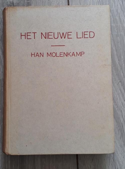 Het nieuwe lied, Boeken, Romans, Gelezen, Nederland, Ophalen of Verzenden