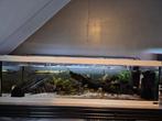 Kweekgroep Sewellias met aquarium, Ophalen