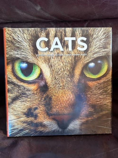 Cats Iams nog in de folie., Boeken, Dieren en Huisdieren, Nieuw, Katten, Ophalen of Verzenden