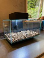 Fluval edge aquarium, Ophalen, Gebruikt, Leeg aquarium