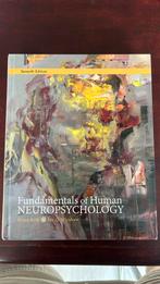 Kolb & Whishaw - Fundamentals of Human Neuropsychology, Ophalen of Verzenden, Beta, Zo goed als nieuw, WO