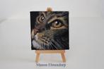 Uniek Handgeschilderd Schilderijtje incl Ezeltje Kat Kunst, Antiek en Kunst, Kunst | Schilderijen | Modern, Ophalen of Verzenden