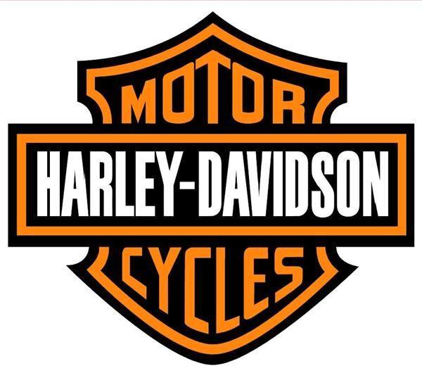 Werkplaatsboek voor bijna elke Harley -Davidson- BUELL, Motoren, Handleidingen en Instructieboekjes, Harley-Davidson of Buell