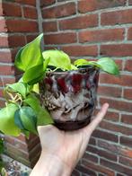 supertof vintage fat lava bloempot met plantje, West Germany, Ophalen