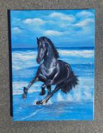 Paard aan zee (30x40cm) acrylverf, Ophalen of Verzenden, Zo goed als nieuw