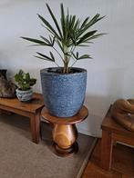 Palm met mooi pot, Huis en Inrichting, Woonaccessoires | Zuilen en Pilaren, Ophalen
