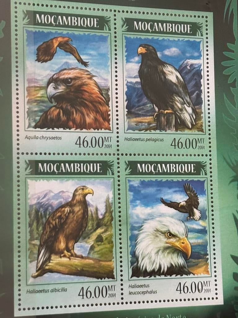 Vogel, Mozambique 2014, Ophalen of Verzenden, Postfris, Dier of Natuur