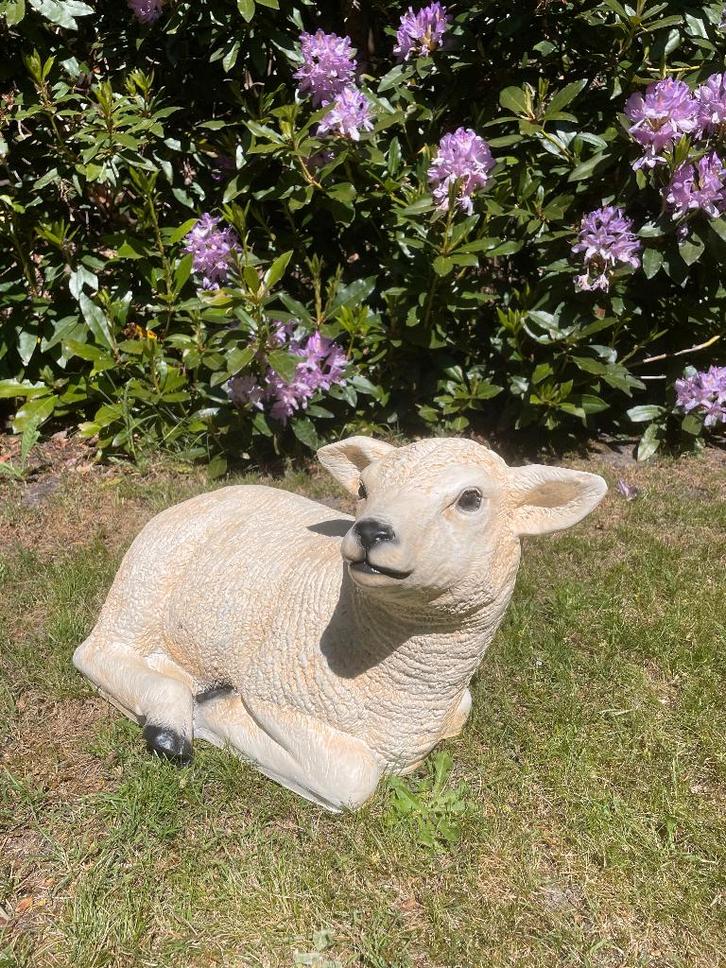 (tuin) Beeld texel schaap lammetje, tuin, boerderij 55 cm, Tuin en Terras, Tuinbeelden, Nieuw, Dierenbeeld, Kunststof, Ophalen