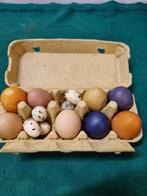 paaseieren echte leeg, Ophalen of Verzenden, 'T Olde Gre-j, Info@toldegrej.nl, Endepoelstraat 20f Didam