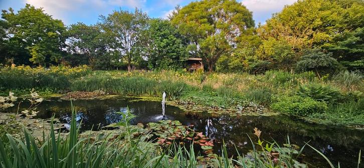 Tuinhulp gezocht 15,00 pu, Diensten en Vakmensen, Tuinmannen en Stratenmakers