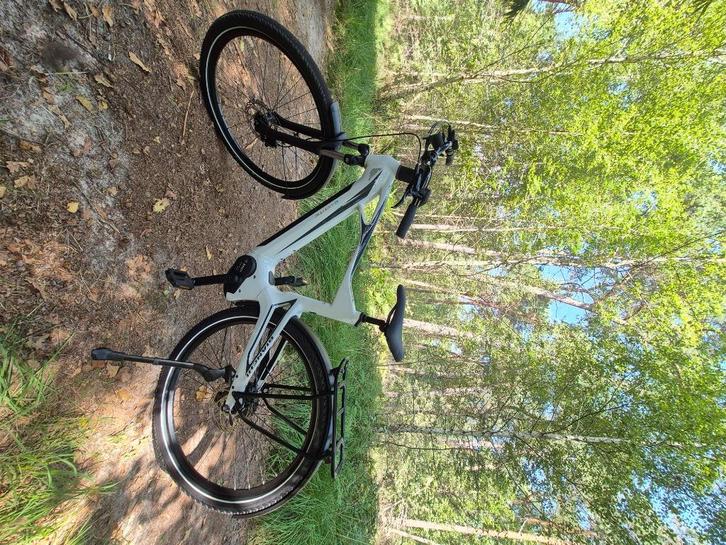 Electrishe fiets, Fietsen en Brommers, Elektrische fietsen, Zo goed als nieuw, Overige merken, 51 tot 55 cm, 50 km per accu of meer