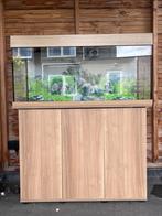 Juwel aquarium, Dieren en Toebehoren, Vissen | Aquaria en Toebehoren, Ophalen, Zo goed als nieuw, Leeg aquarium