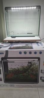 Superfish home 85: plus JBL Cristalprofi 701, Dieren en Toebehoren, Ophalen, Zo goed als nieuw, Leeg aquarium