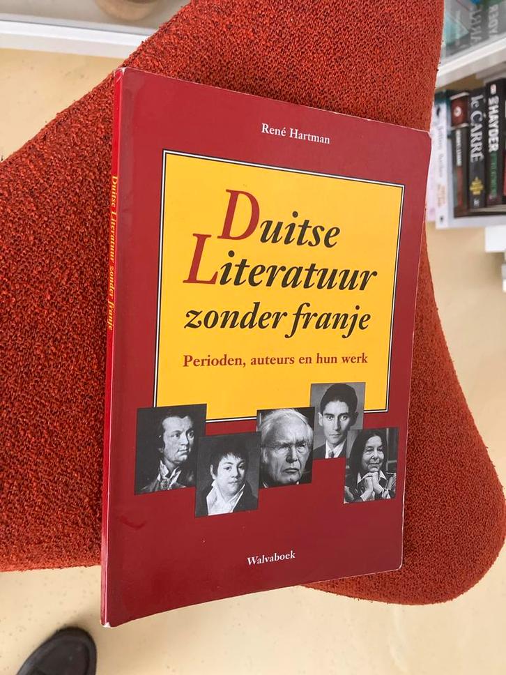 Duitse Literatuur zonder franje - René Hartman, Boeken, Taal | Duits, Zo goed als nieuw, Non-fictie, Ophalen of Verzenden