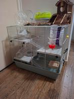 knaagdieren/hamster kooi met toebehoren, Dieren en Toebehoren, Knaagdieren en Konijnen | Hokken en Kooien, Kooi, Minder dan 75 cm