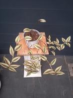 Tradescantia  Hangplant, Ophalen, Overige soorten, Halfschaduw, In pot