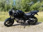 Suzuki SV650 2007 inclusief motorhoes, 2 cilinders, Particulier, Meer dan 35 kW, Naked bike